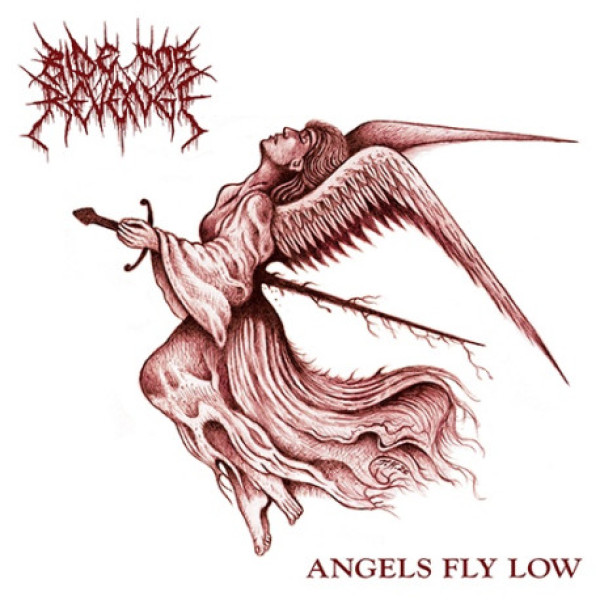 Ride For Revenge - Angels Fly Low CD